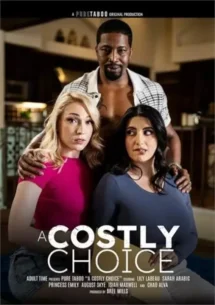 a-costly-divorce